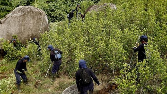 Encuentran tres cadáveres y armas junto a mochila con kilos de droga en Nicaragua