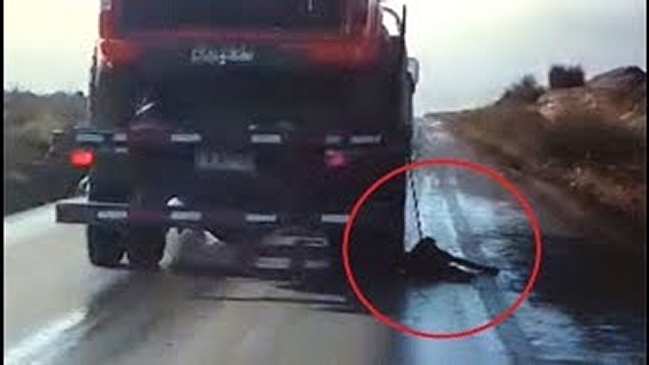 Carabineros capturó a sujeto que estaba prófugo tras ser condenado por maltrato animal