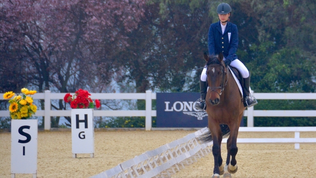 Este sábado se realizará concurso de adiestramiento en San Carlos de Apoquindo