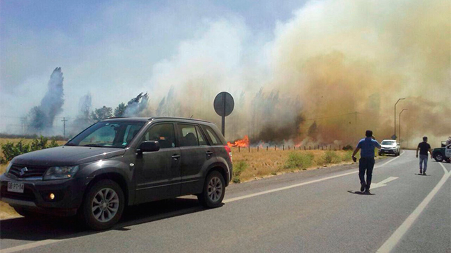 Incendio en Colina se extiende a Lo Barnechea: Decretan alerta roja