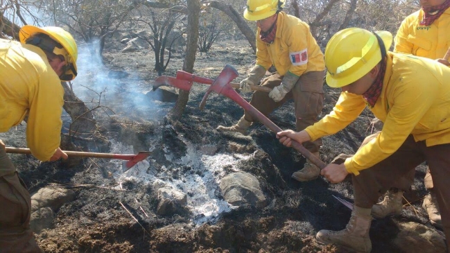 Bomberos controló incendio forestal que afectó a Colina y Lo Barnechea
