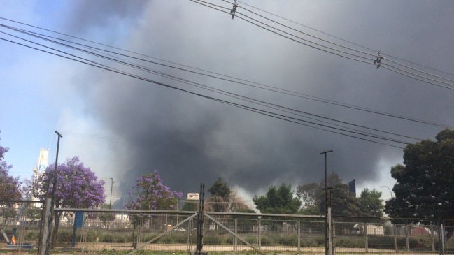 Alerta roja en San Bernardo por incendio forestal en Cerro Chena