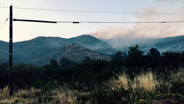 Incendio forestal en Cuesta Lo Prado consume 405 hectáreas