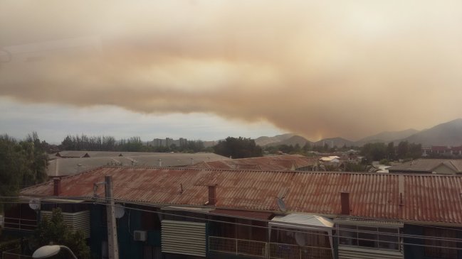 Incendio forestal afecta a fundo en Rinconada de Maipú