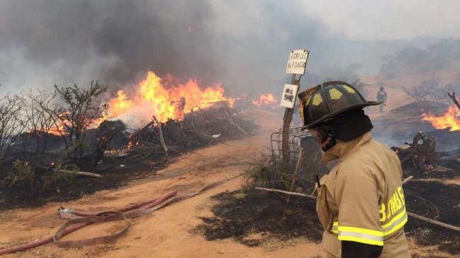 Conaf anunció que hay nueve detenidos por incendios en la Región de O'Higgins