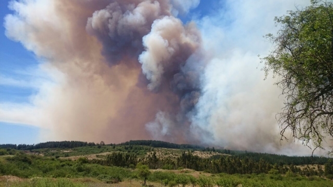 Incendio en Litueche amenaza viviendas y provoca cortes de luz en 14 comunas