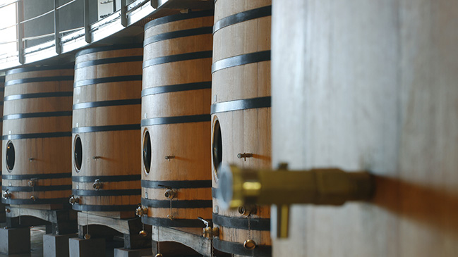 Vitivinícolas critican paro de la Aduana: 