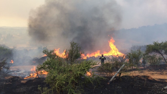 Incendios forestales consumen más de 9.000 hectáreas a lo largo del país