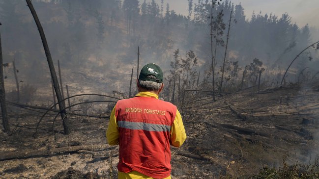 Los daños ecológicos que dejó el incendio forestal en Quebrada de la Plata