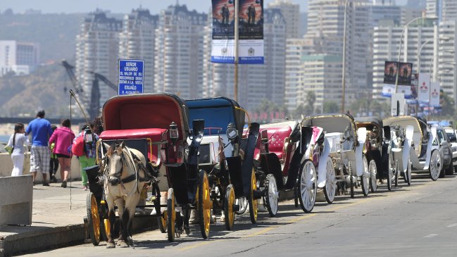 Viña del Mar aplicará restricción vehicular para las victorias