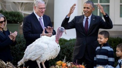   En su último Día de Acción de Gracias como presidente, Obama perdonó al pavo 