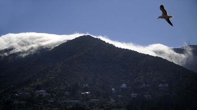 Bomberos creó unidad especial para rescatar a personas perdidas en cerros