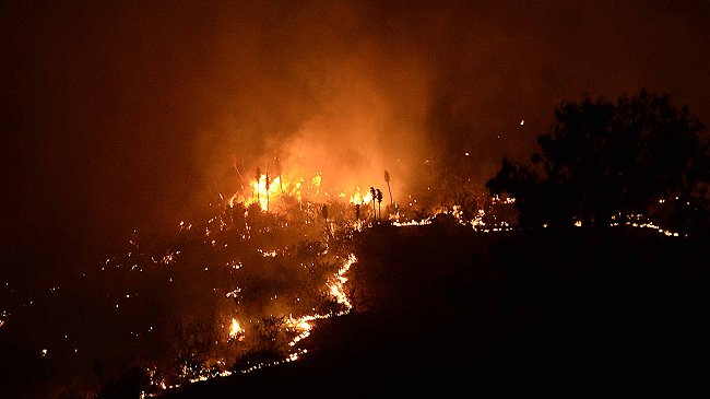 Fiscalía, Conaf y policías fortalecerán combate judicial a incendios forestales