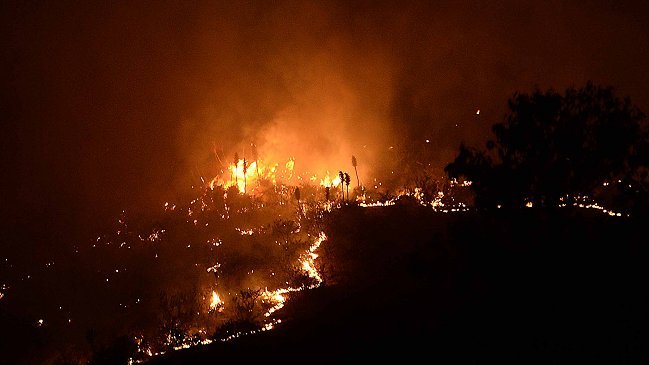 Fiscalía, Conaf y policías fortalecerán combate judicial a incendios forestales