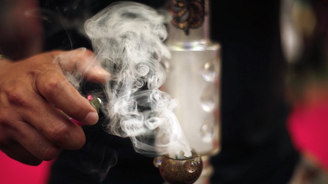 Este viernes arrancó una nueva versión de la Expoweed en el Parque O'Higgins