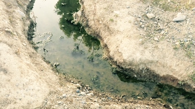 Región del Maule: 31 familias afectadas por contaminación de agua