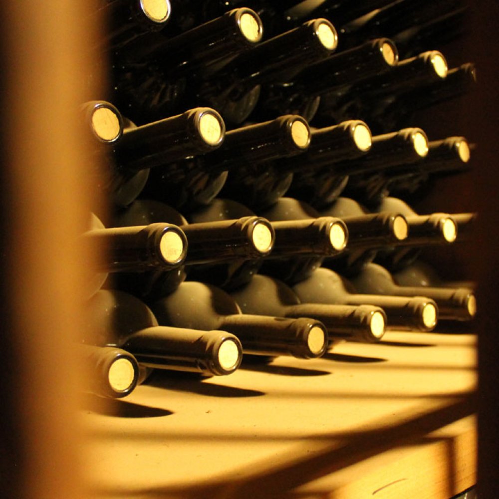 Tour Carmenere: Una invitación a conectar con la historia y el vino chileno