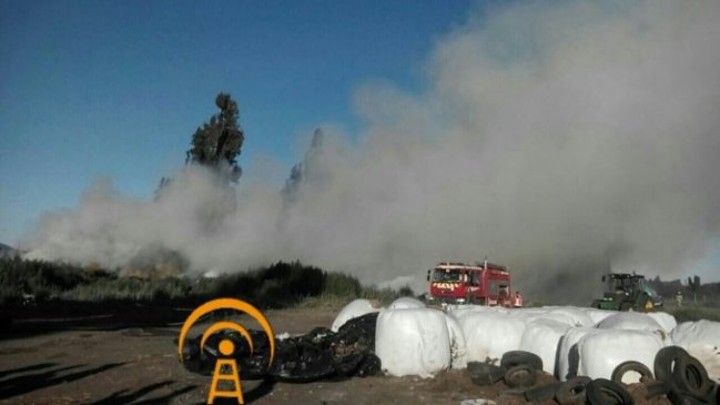 Incendio afectó a galpones de Hacienda El Roble en la Región del Biobío