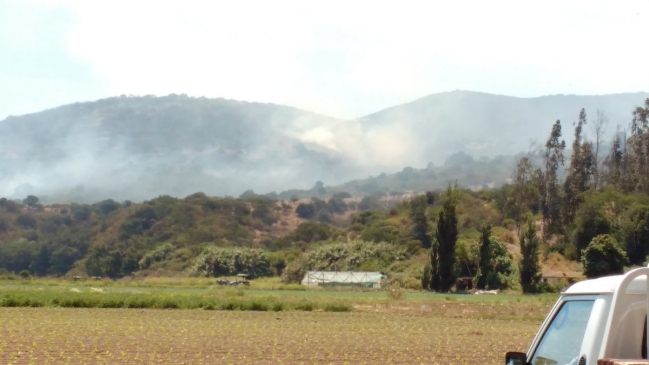 Asado provocó incendio forestal en Quillota: Hay un detenido