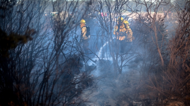 Bomberos y Conaf controlaron incendio forestal en El Quisco