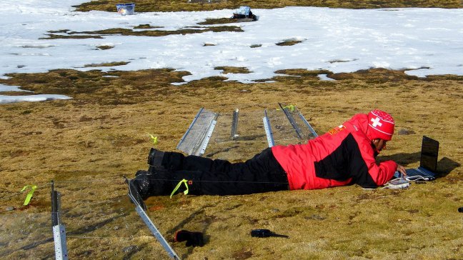 Estudian las consecuencias del cambio climático en la plantas antárticas