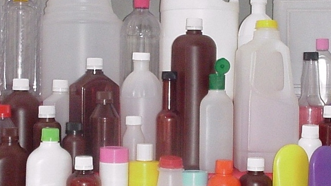 Ingeniera lusa patenta envases biodegradables a partir de hongos