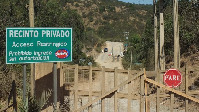 Apuntan a migración de gaviotas como posible causa de influenza aviar en pavos de Sopraval