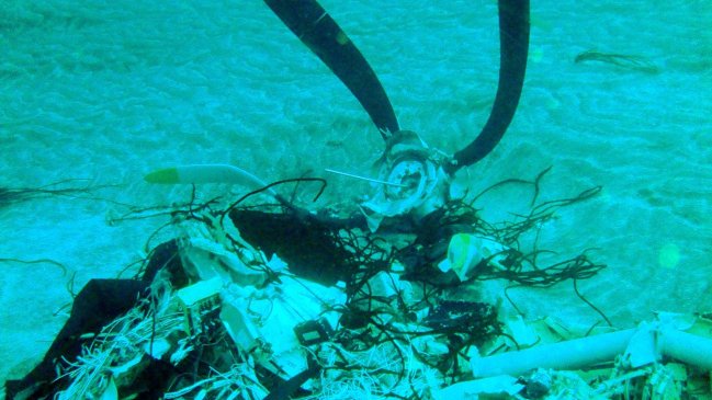 Hermano de Rodrigo Cabezón: Procesamiento de oficiales es 