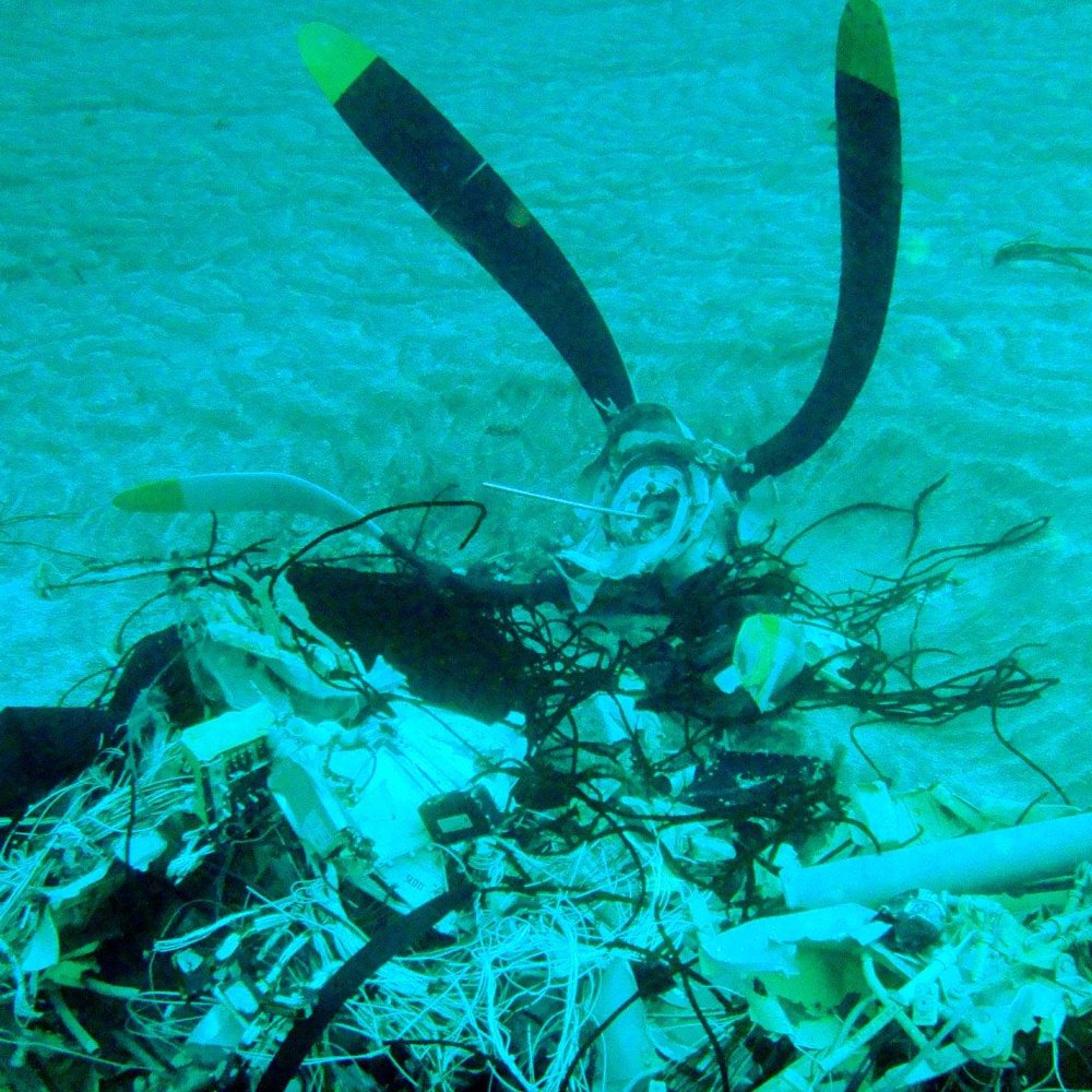 Hermano de Rodrigo Cabezón: Procesamiento de oficiales es 