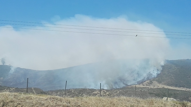 Valparaíso enfrenta un nuevo incendio forestal