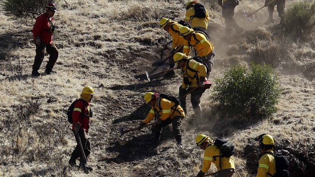 Onemi declaró Alerta Temprana Preventiva para la Región de Coquimbo por incendios forestales