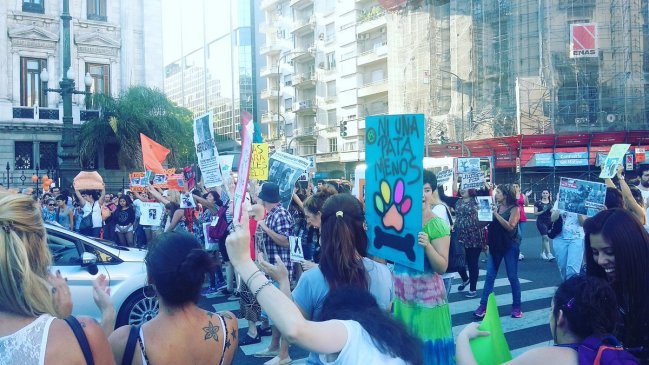 Piden justicia por muerte de un perro despellejado por su dueño en Argentina