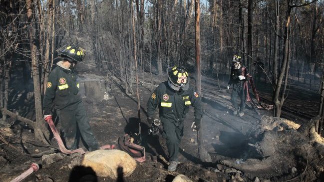 Viña del Mar: Endurecen sanciones para quienes boten basura en lugares prohibidos