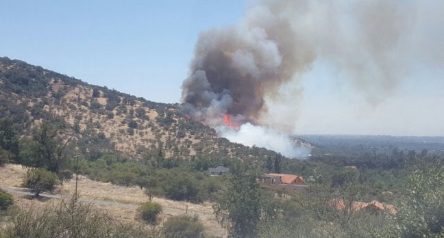 Declaran alerta roja por incendio forestal en Pirque