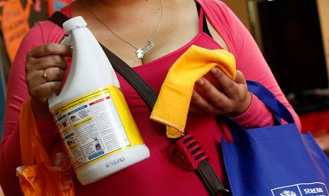 Minsal confirmó primer fallecido por el virus hanta este año