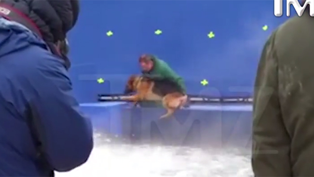 Perturbador registro muestra a perro forzado a lanzarse a aguas turbulentas para filmación