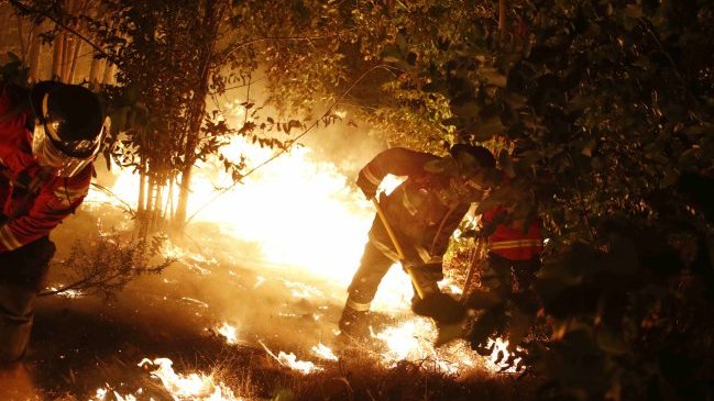 Conaf registra 71 incendios forestales activos en el país