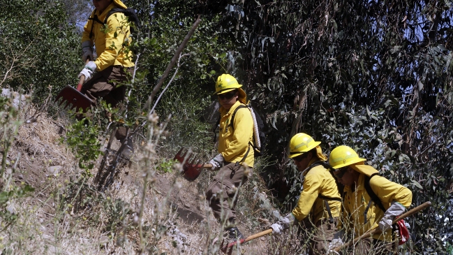 Intendencia mantiene alerta roja por incendio forestal en Paredones