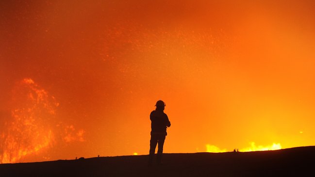 Alcalde de Santa Cruz: 