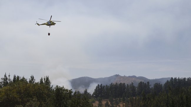 Onemi: 33 incendios forestales se mantienen activos en el país