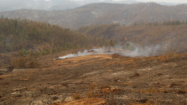 Intendencia Metropolitana se querelló contra presunto responsable de incendio en Alhué