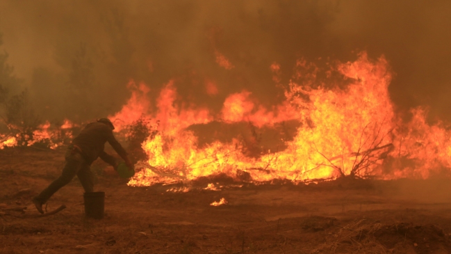 Alcalde Constitución: Hay gente organizada que está provocando incendios forestales