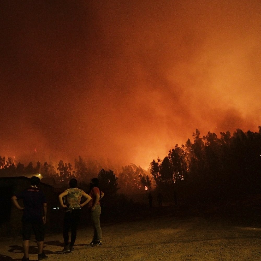 Incendios forestales: Una persona falleció en Tomé, la primera víctima fatal del Biobío