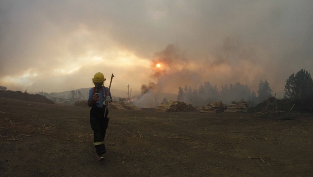Detienen a sujeto que fue sorprendido prendiendo fuego en Curanilahue