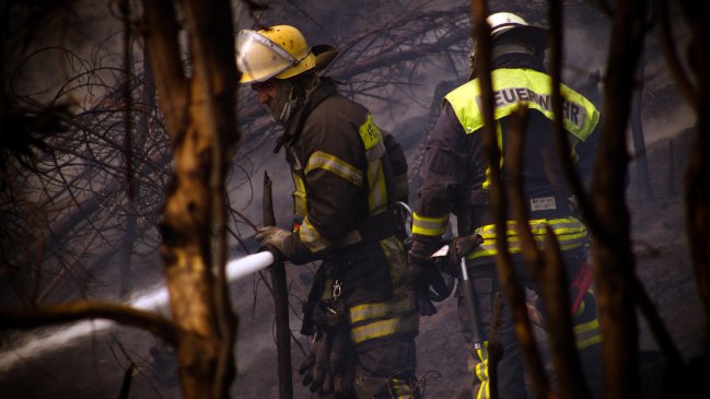 Joven agredió a bombero tras ser sorprendido encendiendo matorrales en Ercilla