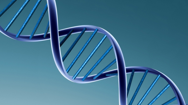 Describen una nueva maquinaria de reparación de errores en el ADN