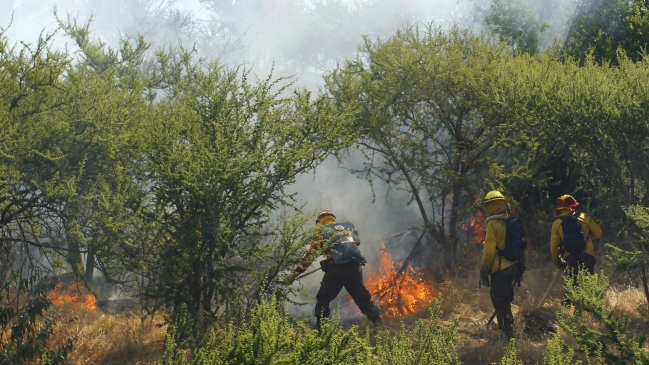 Declaran Alerta Roja Por Incendio Forestal En Valdivia Cooperativa Cl