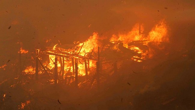 Forestal Arauco decidió reconstruir aserradero en Santa Olga