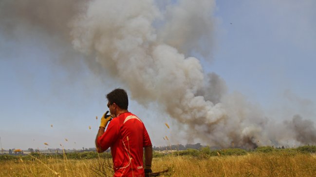 Gobierno: Agricultura de la Región de O'Higgins se encuentra intacta