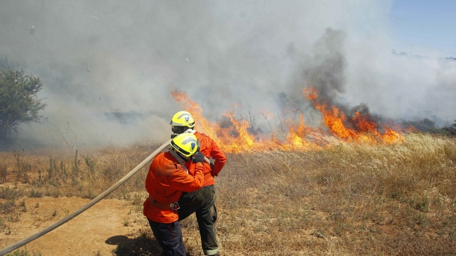 Alcalde de Portezuelo confirmó incendio forestal 